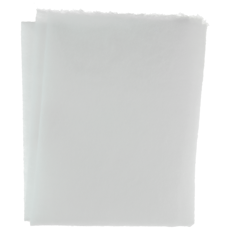 1061074 - dampkapfilter 2st 47x57cm | 10 stuks
