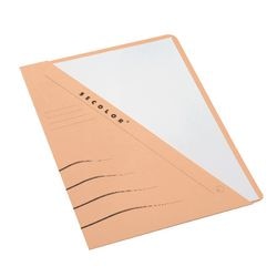 Insteekmap secolor djois a4 chamois
