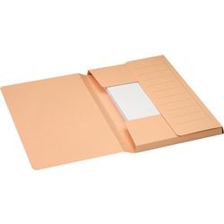 Dossiermap djois 3183602 karton 250g m2 a4 chamois
