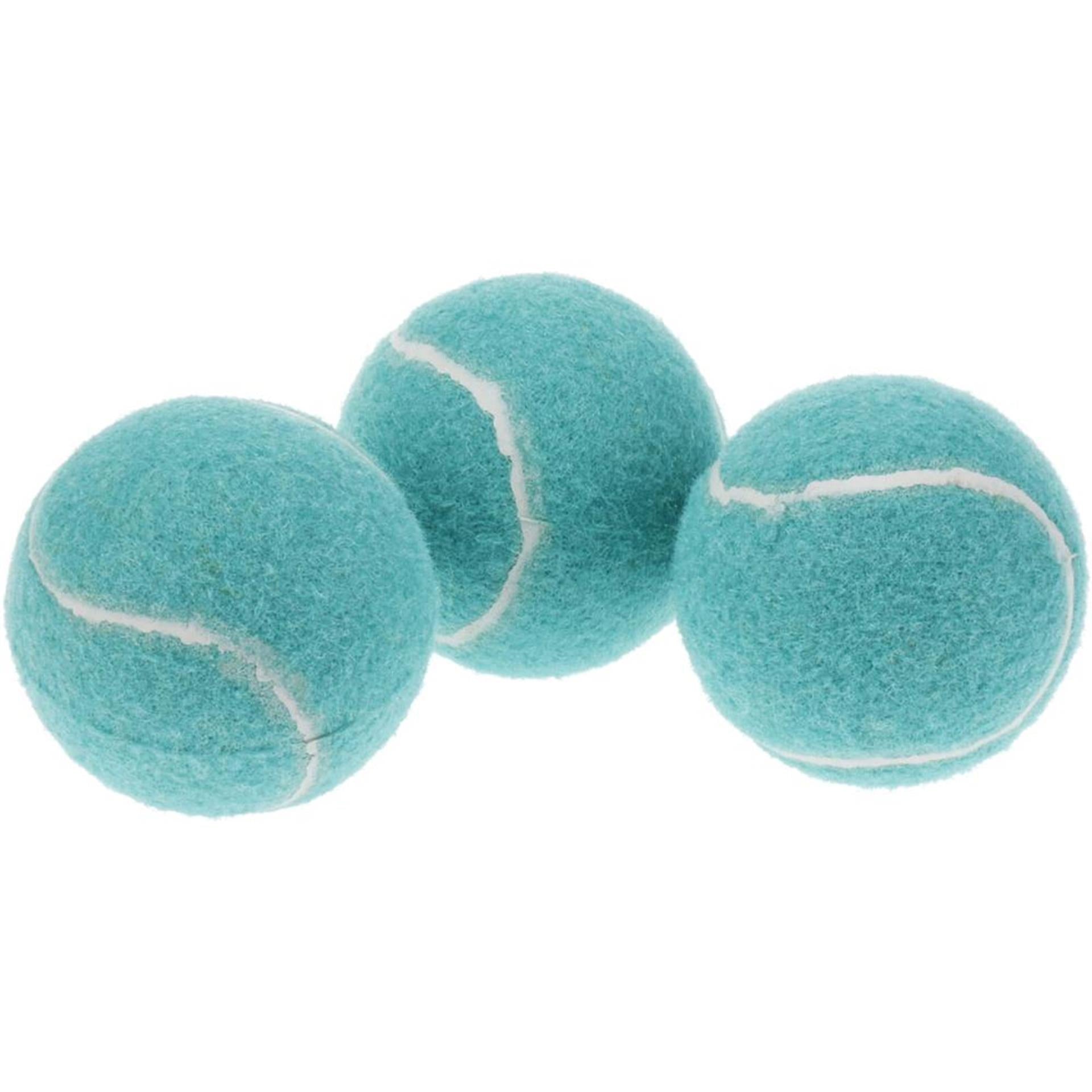 Pets collection hondentennisballen set van 3 stuks