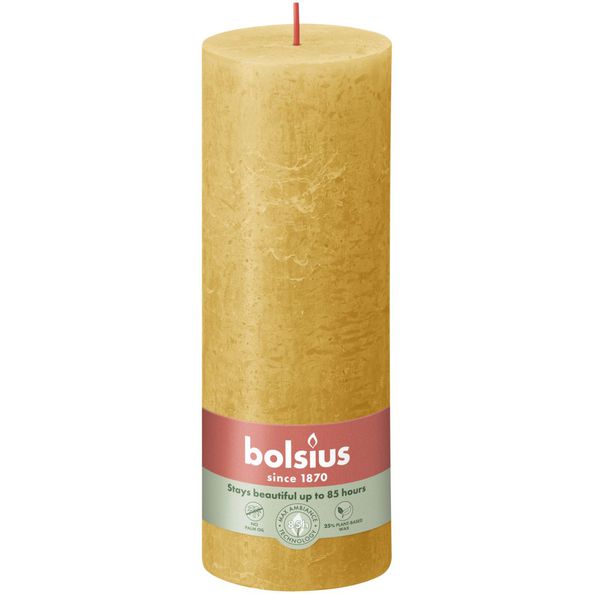Bolsius Bolsius Stompkaarsen Shine 4 st rustiek 190x68 mm honinggeel