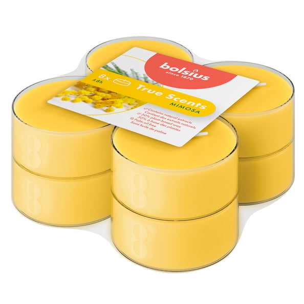 Bolsius maxilichten true scents mimosa ø58x24 mm 8 uur (6x 8 stuks)