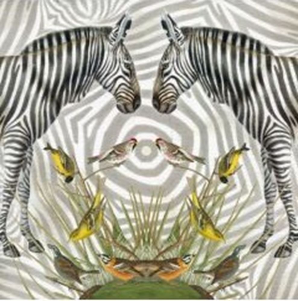 Kaart+envelop zebra. 16x16 cm