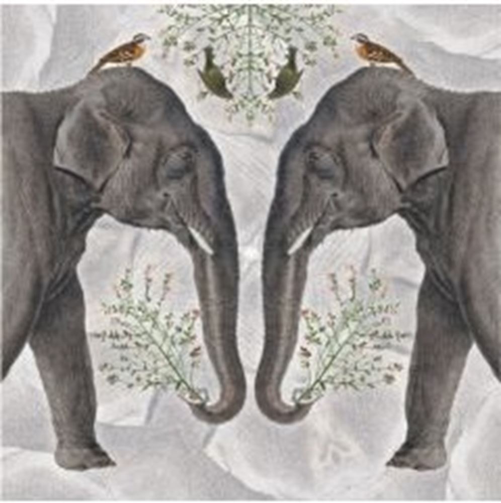 Kaart+envelop indian olifant. 16x16 cm