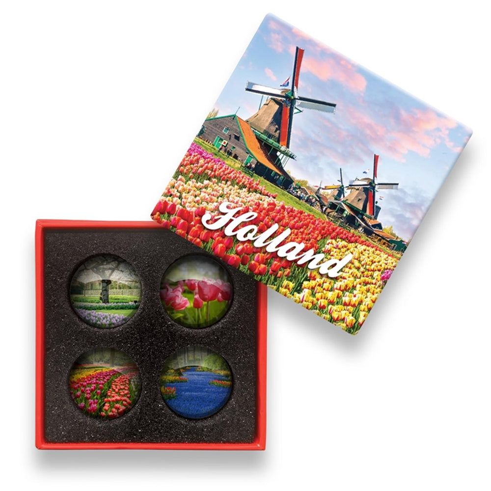 Glasmagneten holland tulpenveld 4st