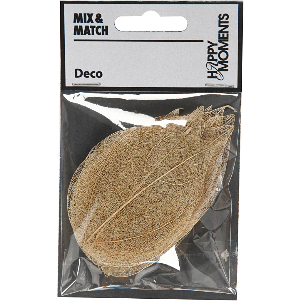 Creativ company skeletbladeren naturel gedroogde bladeren, 20st.