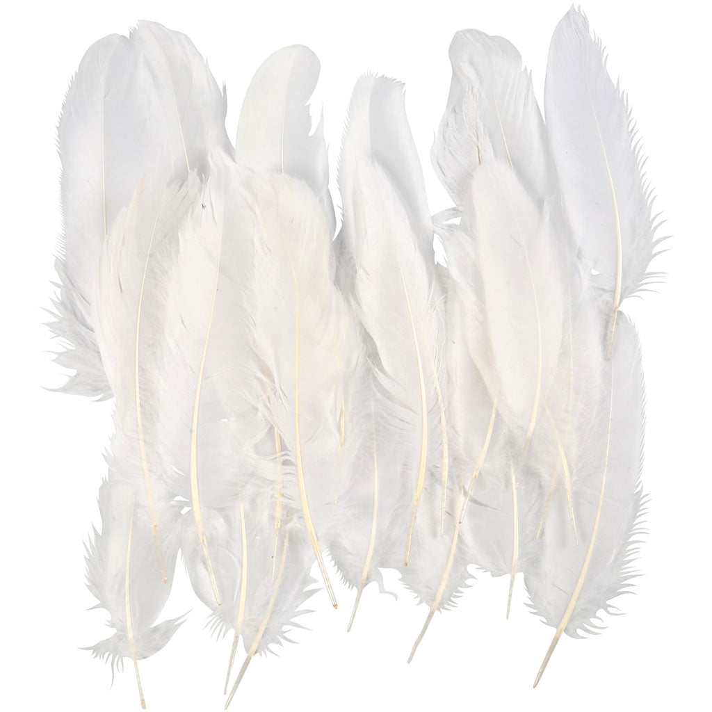 Https: www.cchobby.nl veren-ca-10-18-cm-wit-350-stuk-1-doos