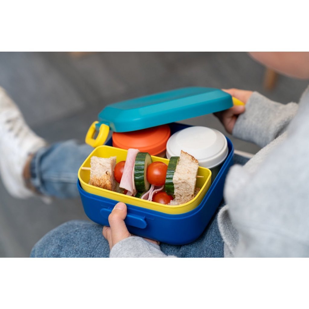Amuse lunchbox rikko divider en 2 snack lagune