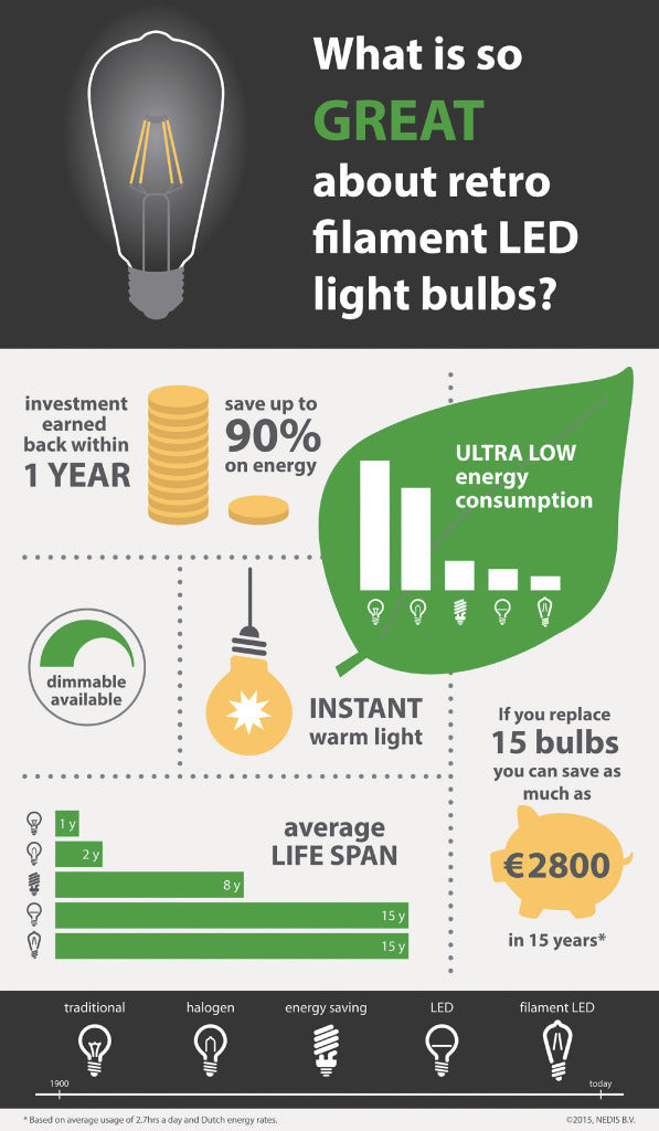 HQ HQ HQLFE27G95002 Led Retro Filamentlamp E27 Dimbaar G95 4 W 320 Lm 2500 K