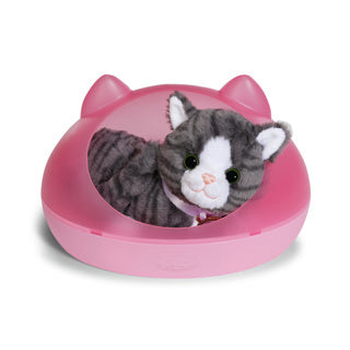 Baby born mijn kat koekje met doos
