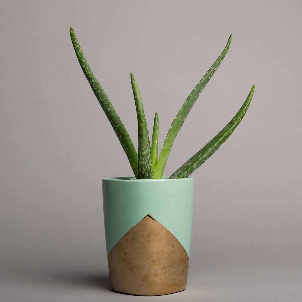 Superior achtergrondpapier 58 leigrijs 1,35 x 11m