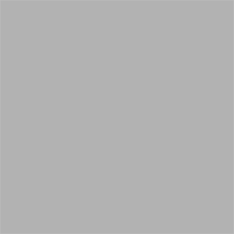 Superior achtergrondpapier 72 fossielgrijs 1,35 x 11m