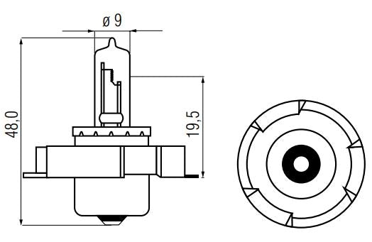 Ampoule 6V-15W P26S halogène