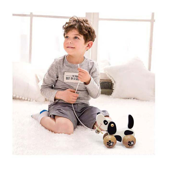 Klassieke Wereld Wereld Houten Kwispel Hondje