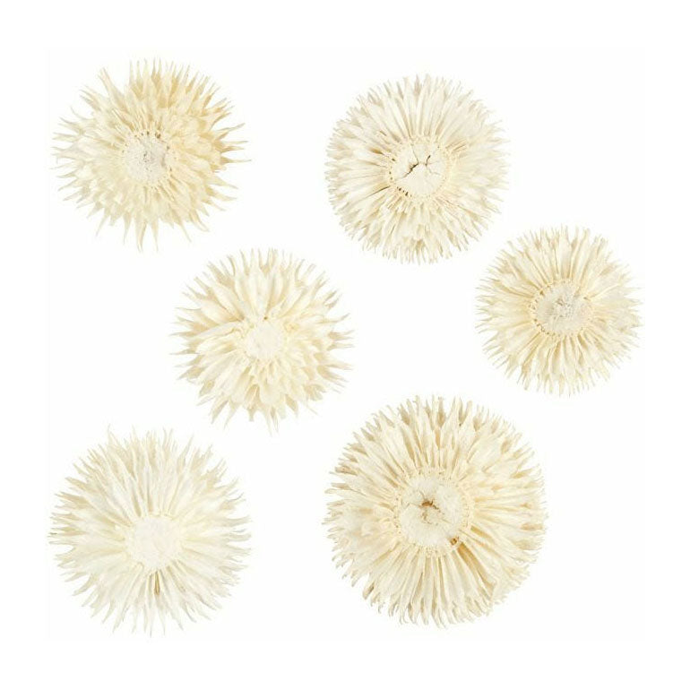 Creativ Company Dried Flowers