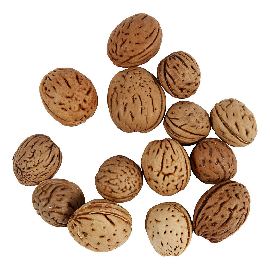 Creativ company nuts, 25 grams