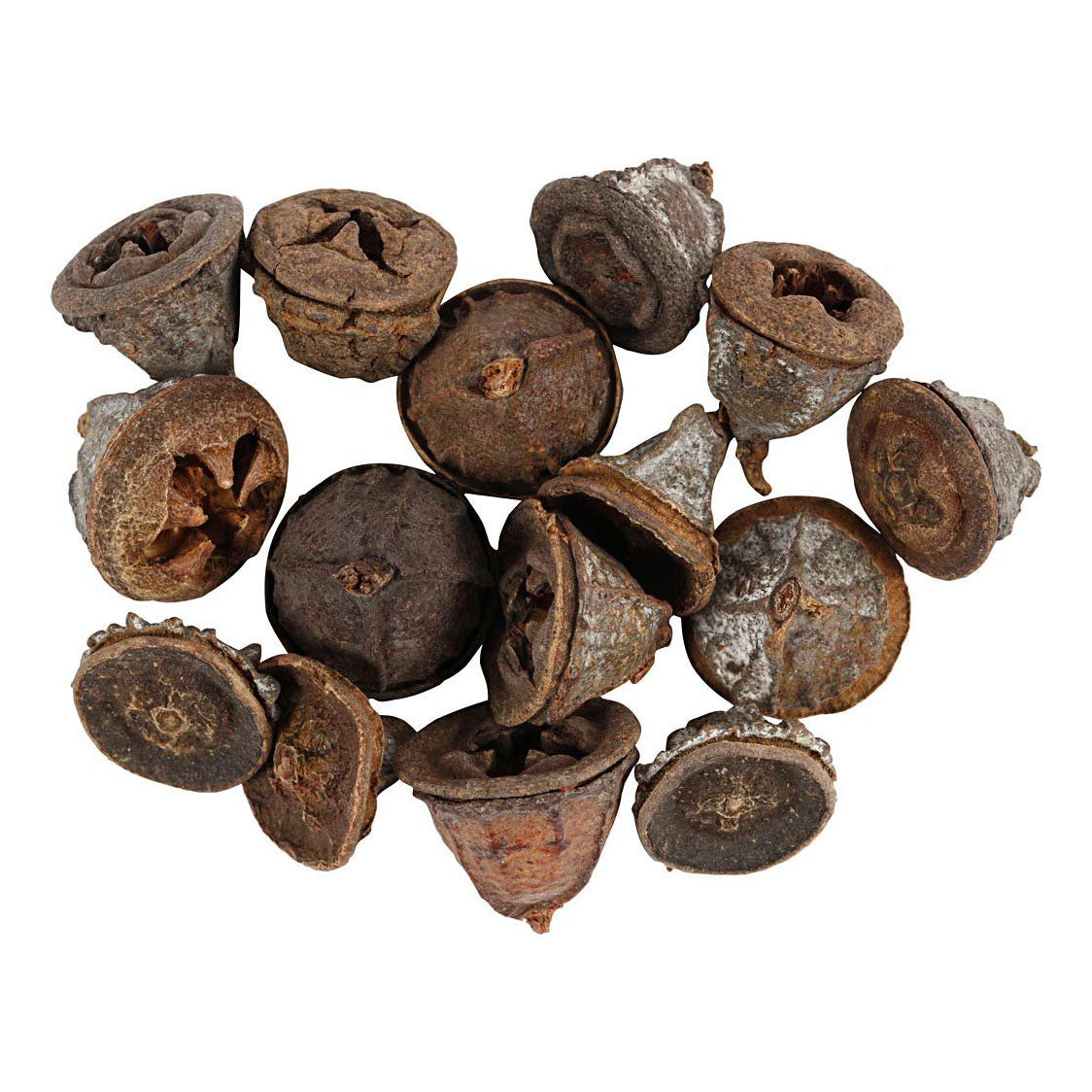 Creativ Company larch cones, 25 grams