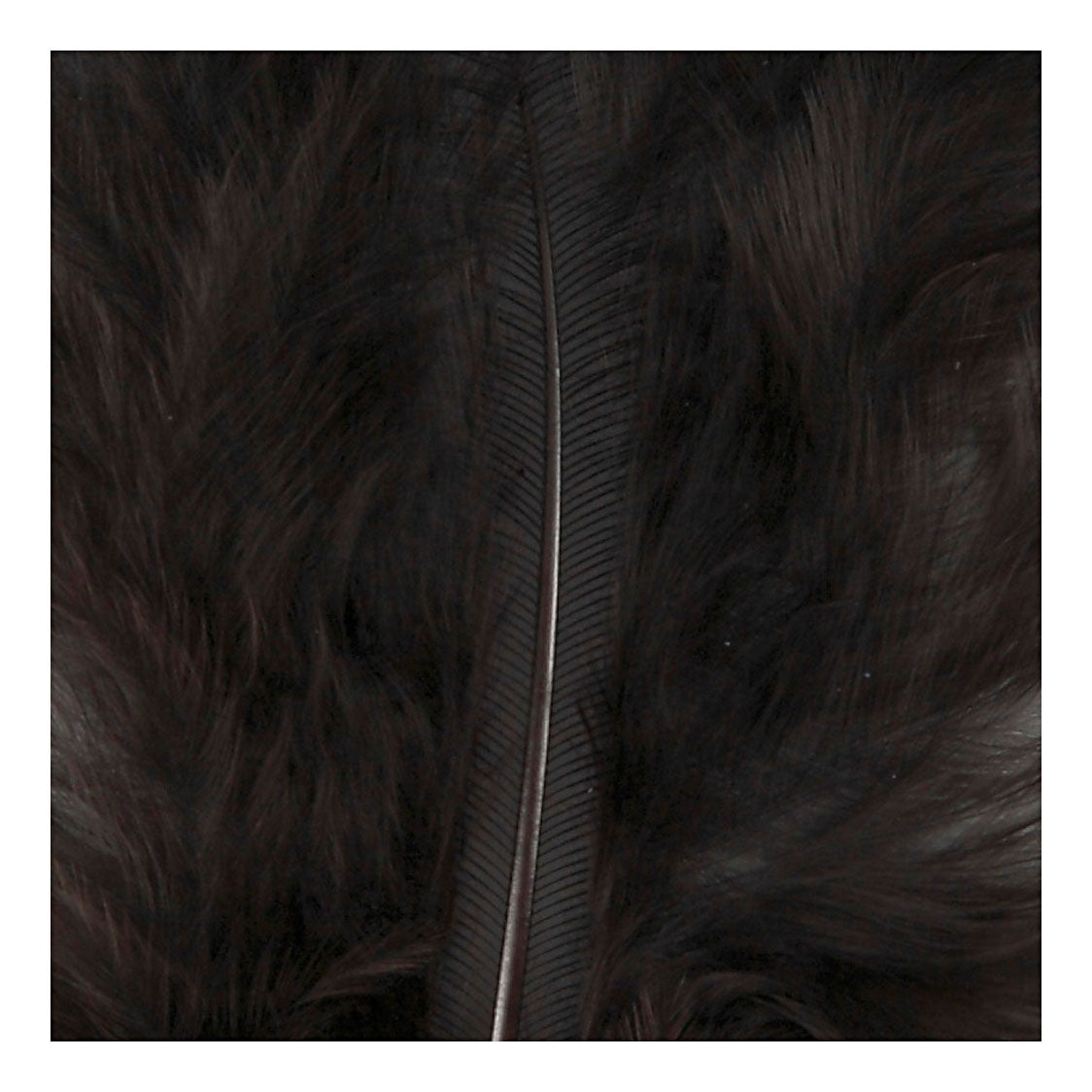 Creative company dons zwart 5-12 cm, 15st.