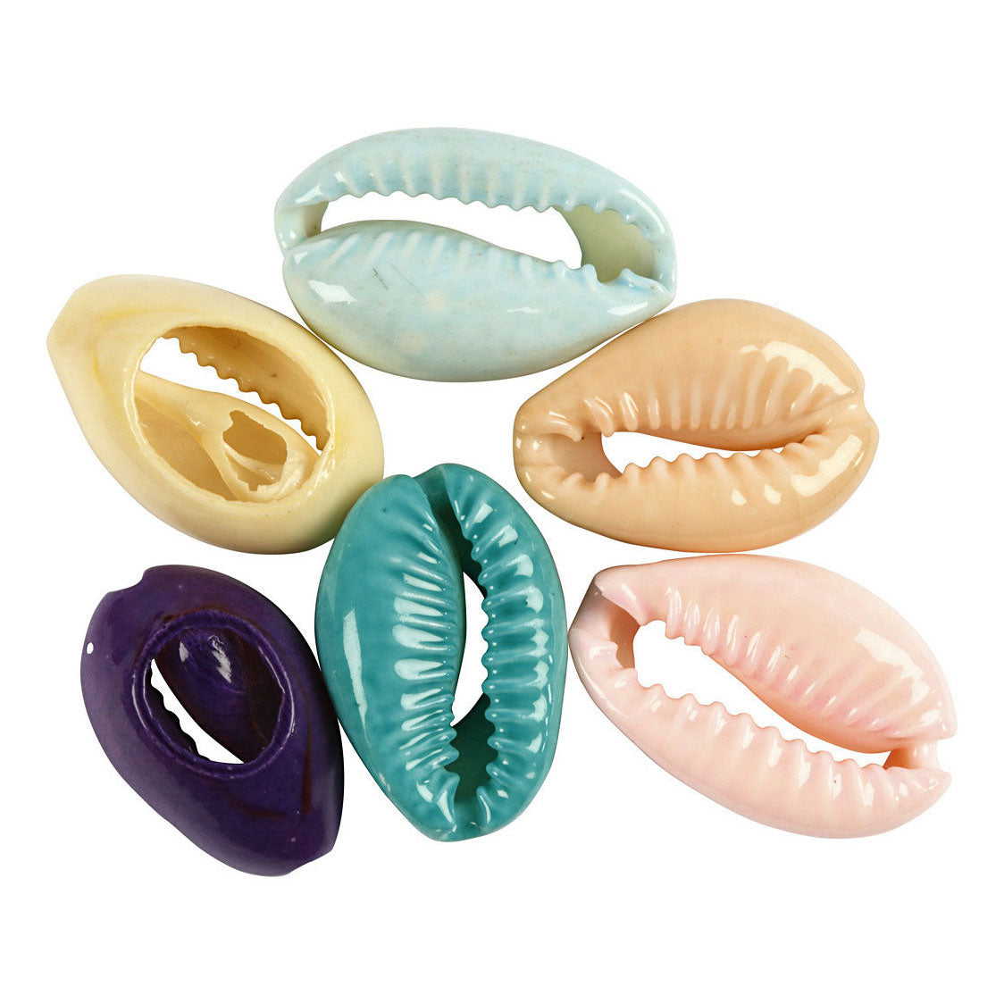 Creatief bedrijf schelpen kleur, 6st.