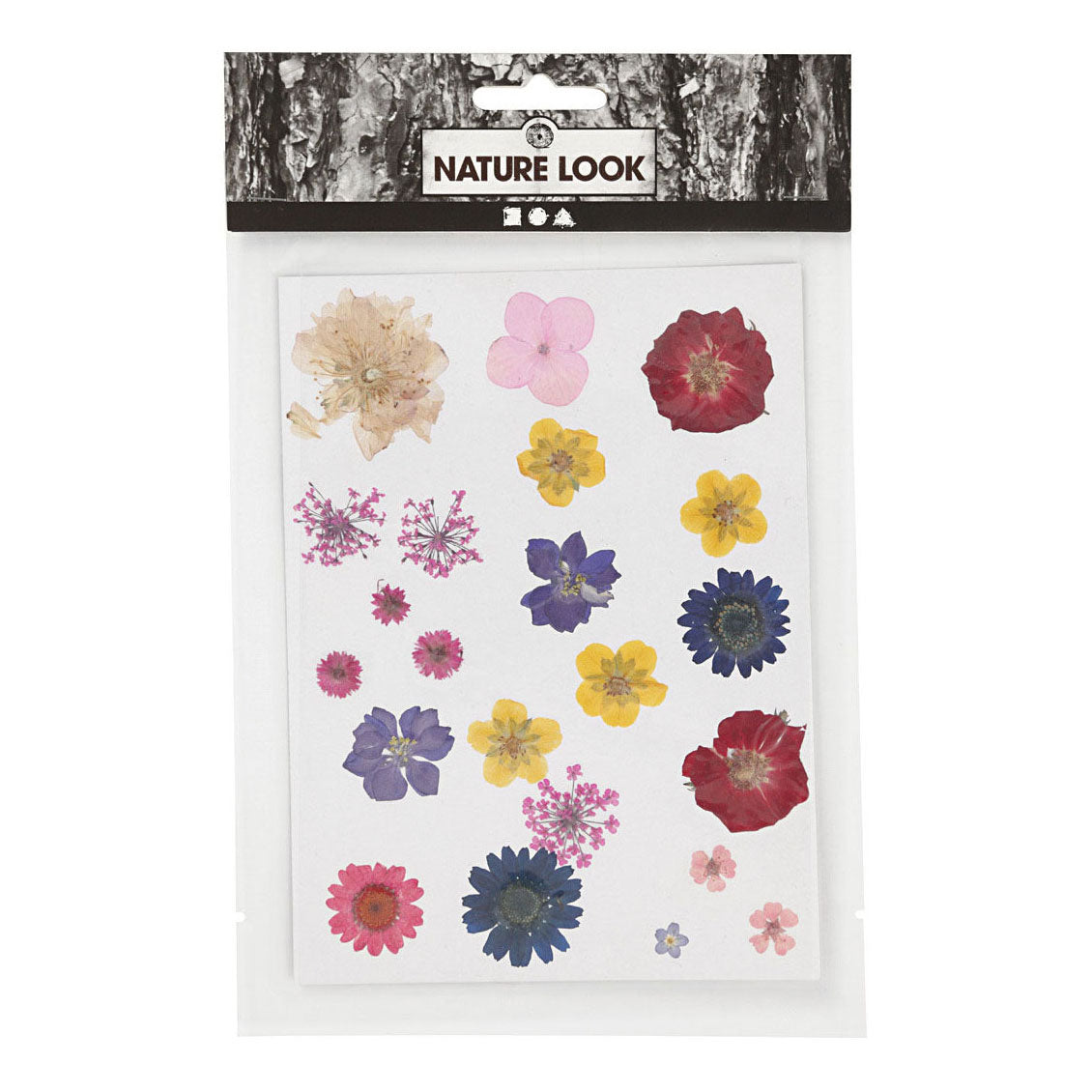 Creatief bedrijf gedroogde bloemen en bladeren diverse kleuren