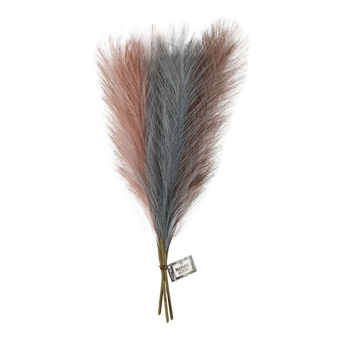 Creatief bedrijf pampasgras blauw lila roze, 3st.