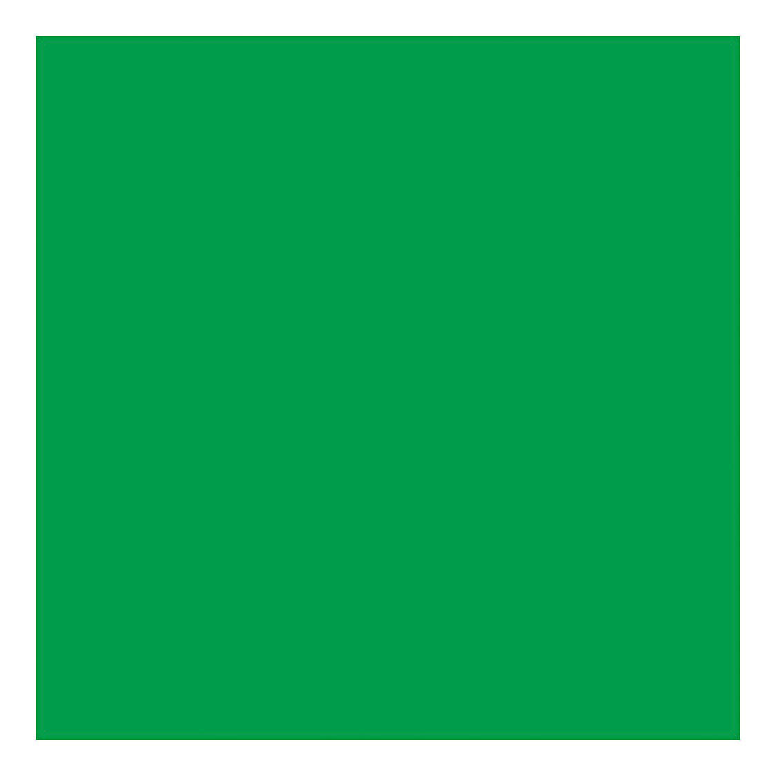 Creativ company gekleurd karton gras groen 270gr, 100 vochtig