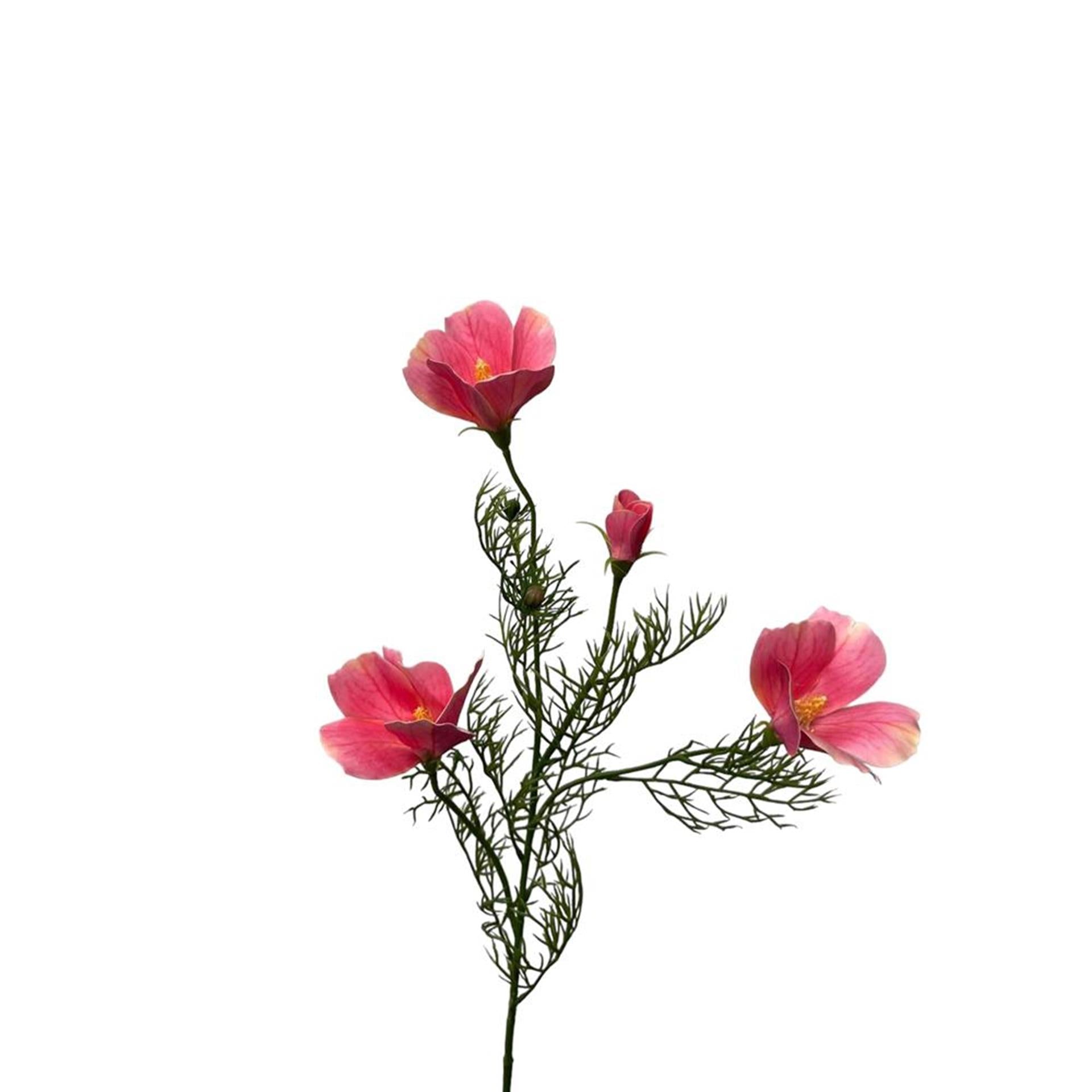 Roberts collection kunstbloem hibiscus spray 68cm lichtroze
