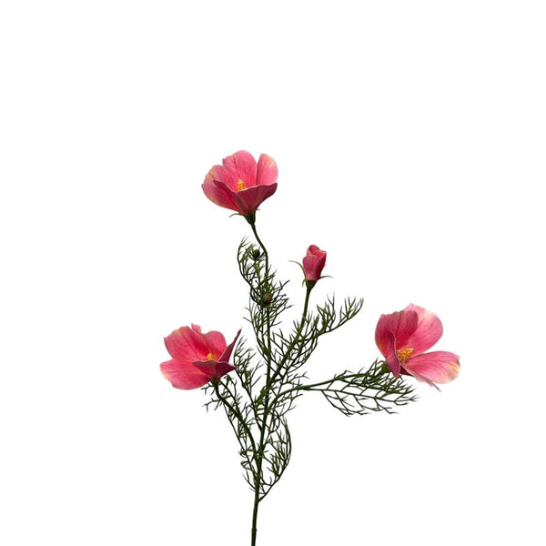 Roberts collection kunstbloem hibiscus spray 68cm lichtroze