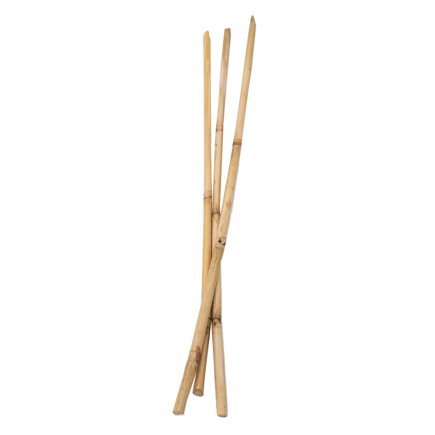 Kleuringen - bamboestokken 50cm, 3st.