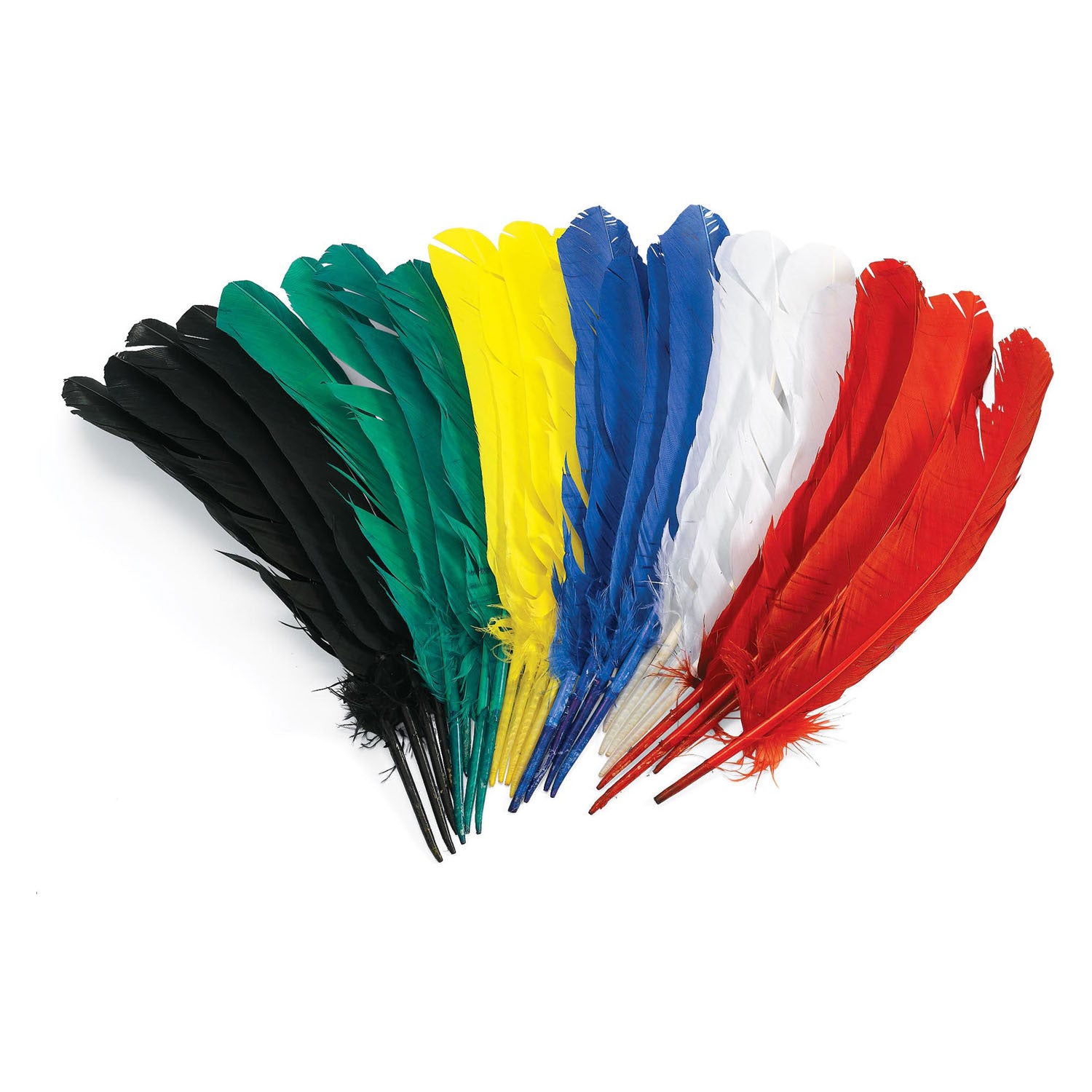 Kleuringen - veren 30cm, set van 24