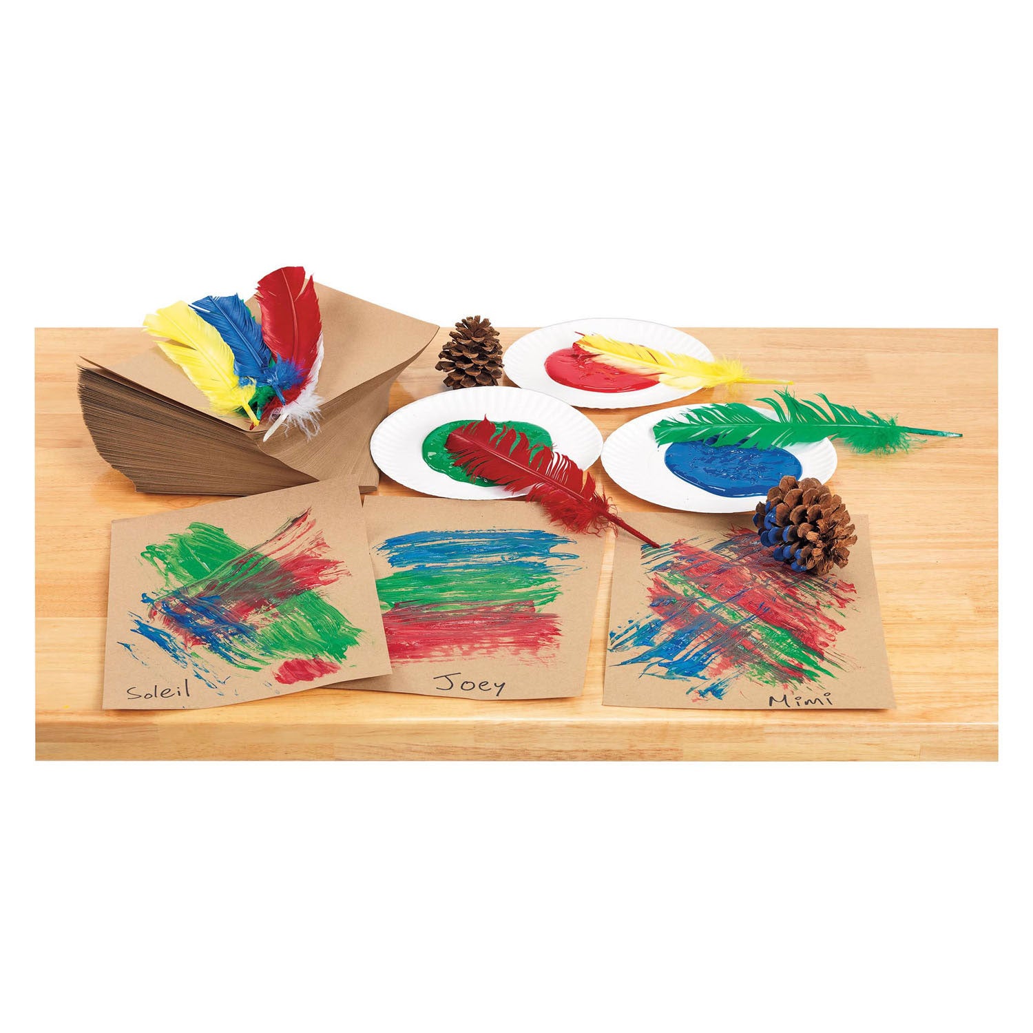Kleuringen - veren 30cm, set van 24
