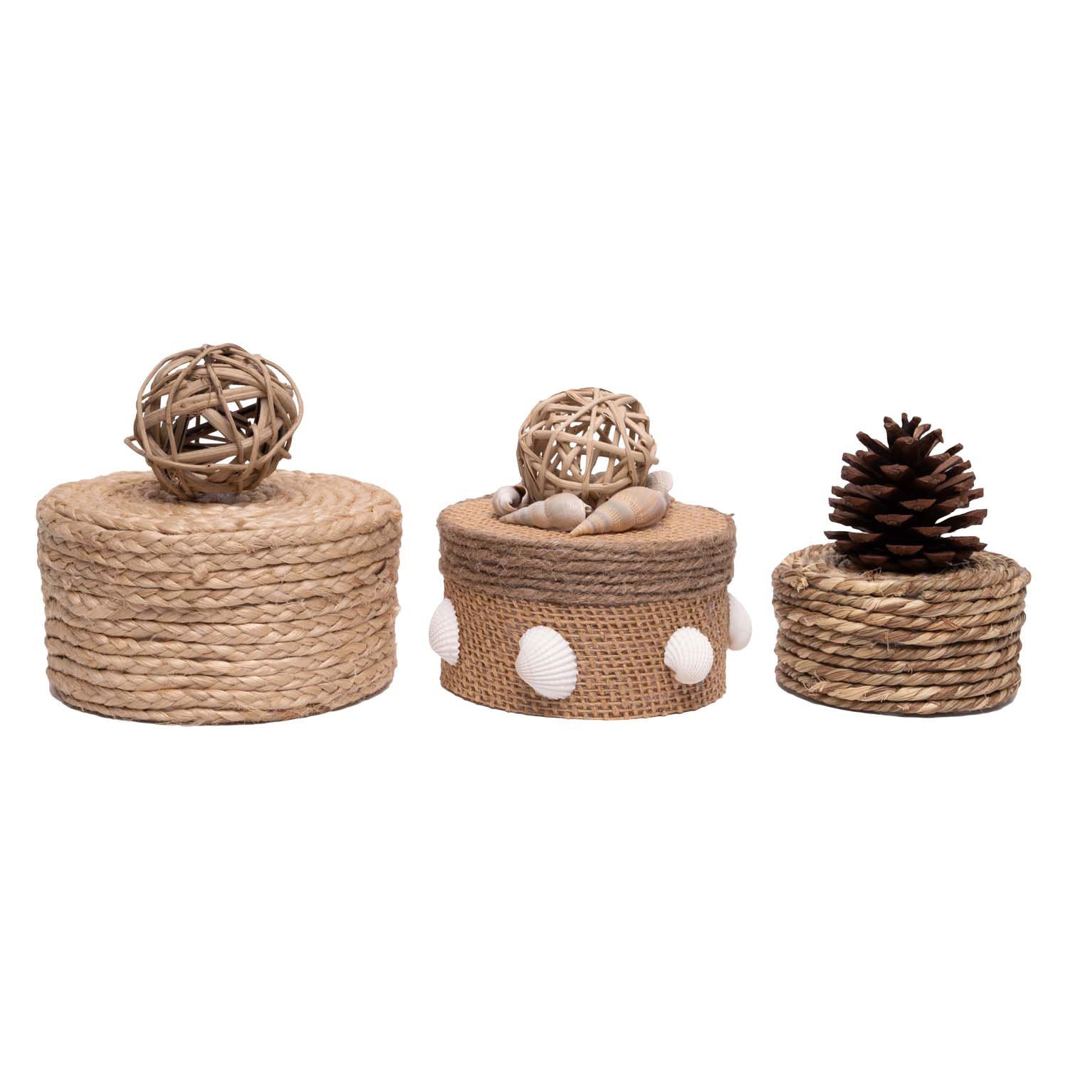 Colorations - papier-mache dozen rond, 3st.