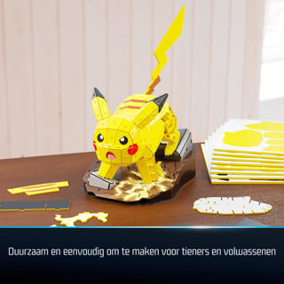Pokemon 4d build pikachu