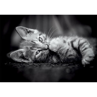 Clementoni puzzel 1000 stukjes kitty