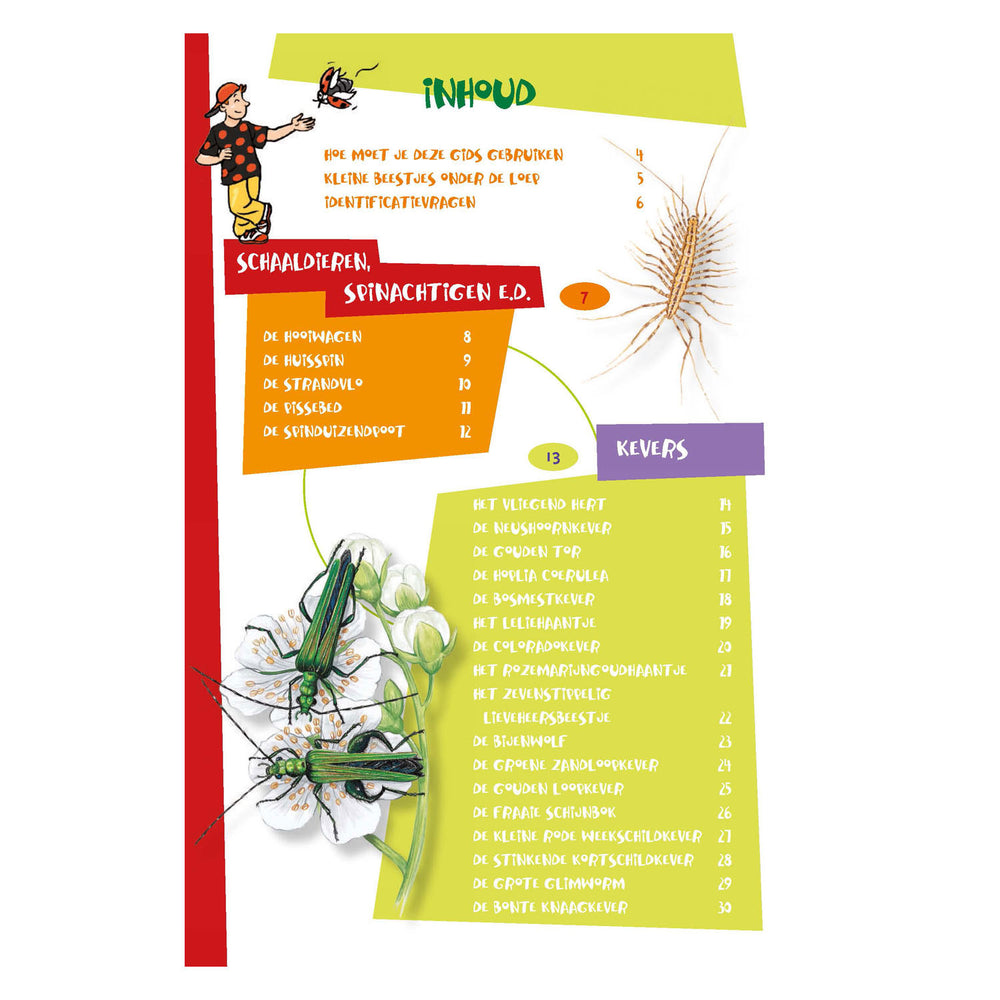 Deltas de leukste insectengids voor kids