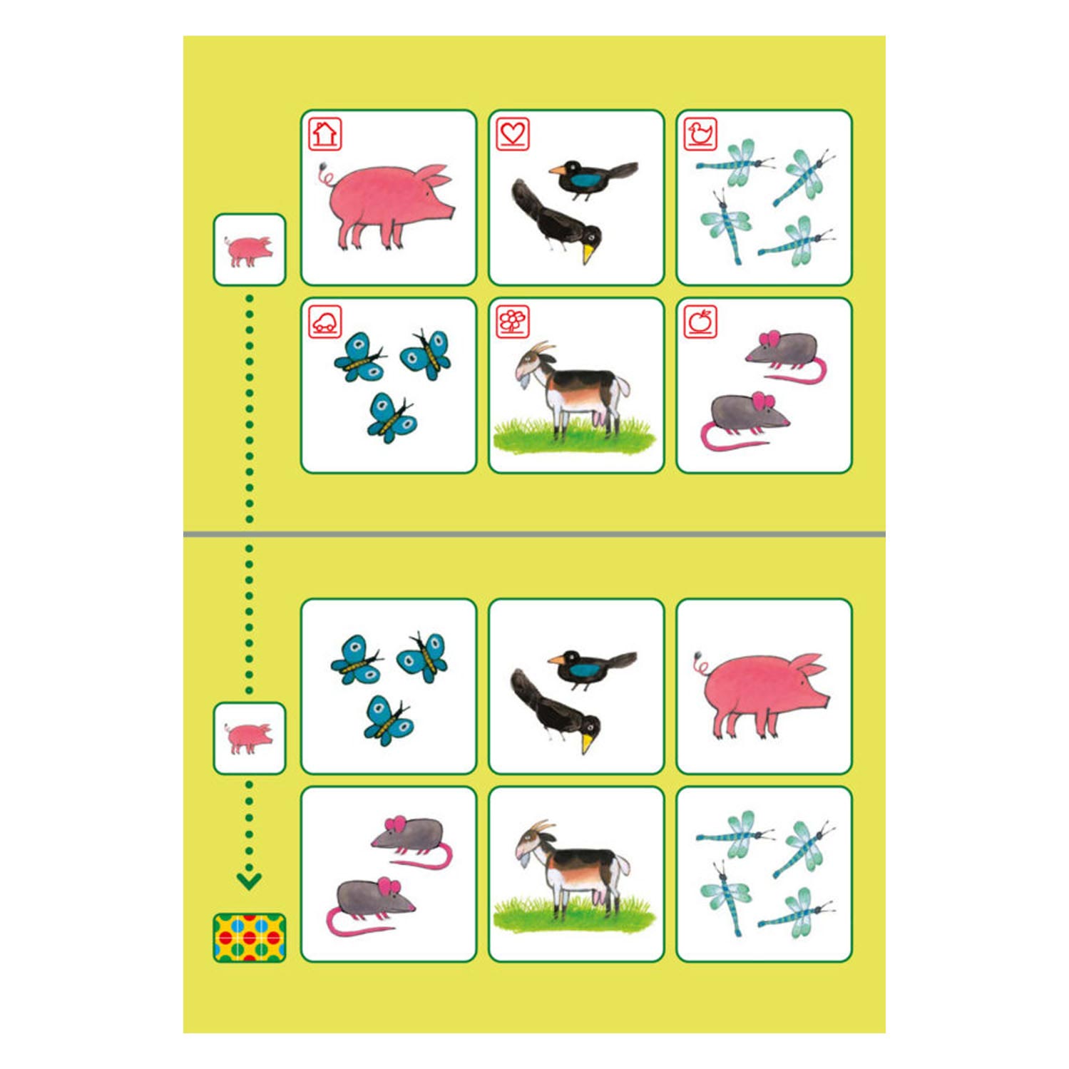 Bambino Loco Pakket Kikker Spelen en Leren