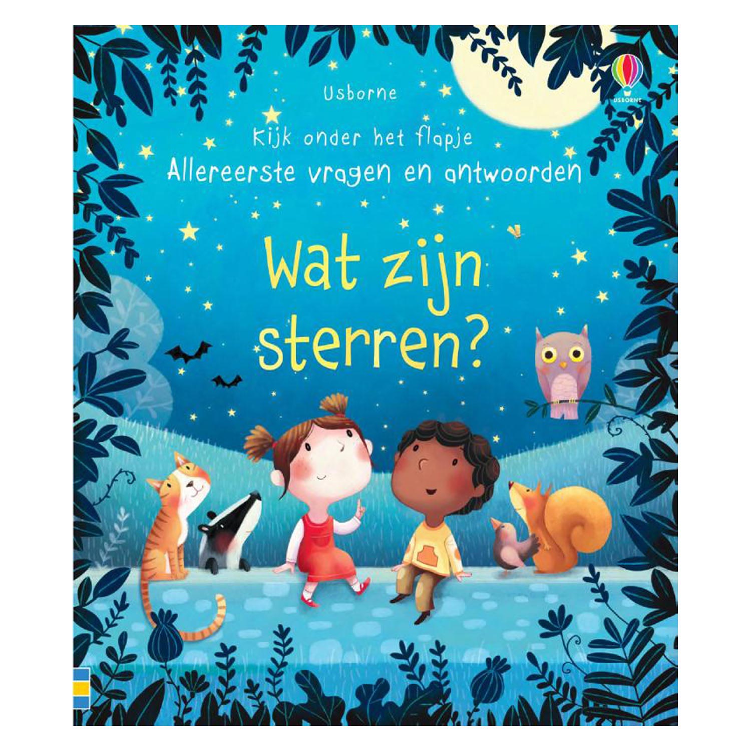 Wat zijn de sterren? Flapjesboek