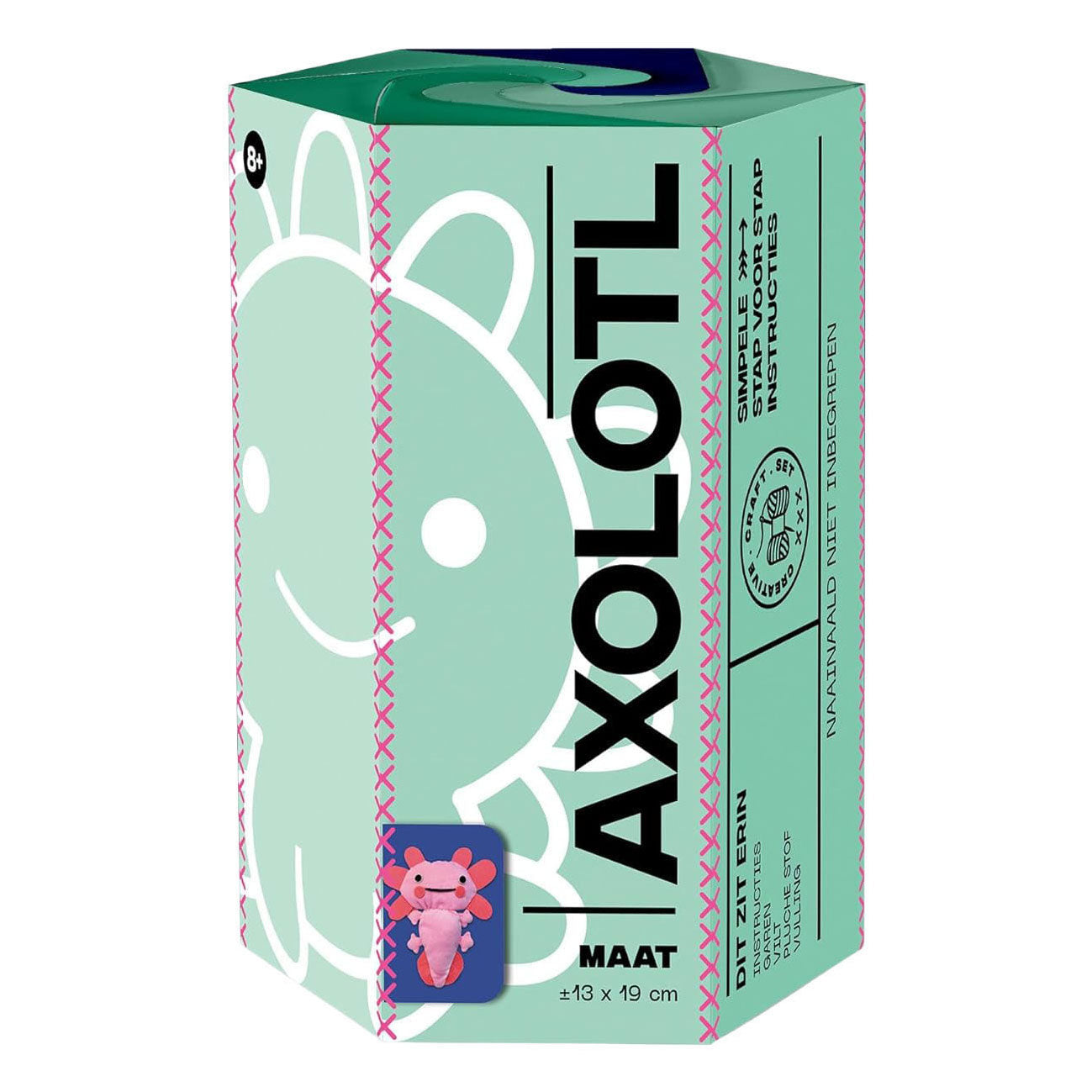 Arts craft set - axolotl