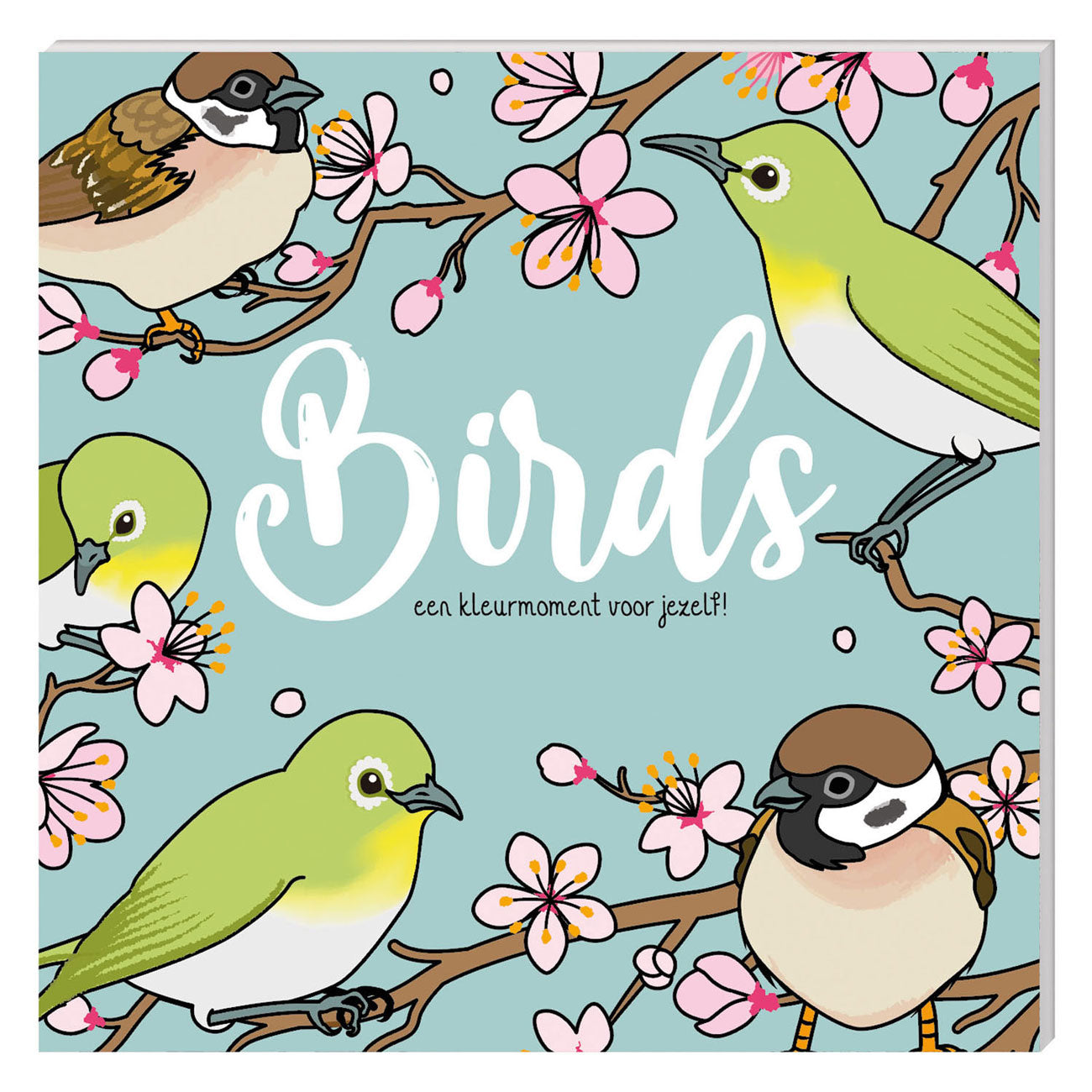 Kleurboek - birds nieuw