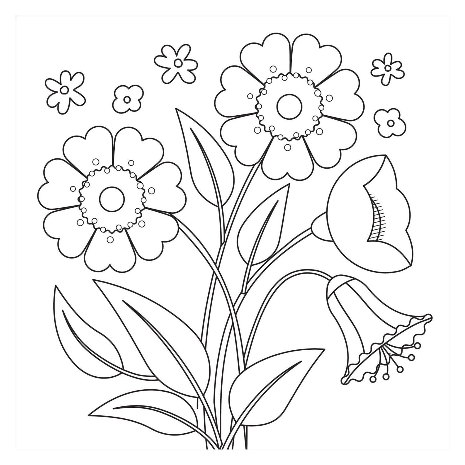 Kleurboek - bloom nieuw