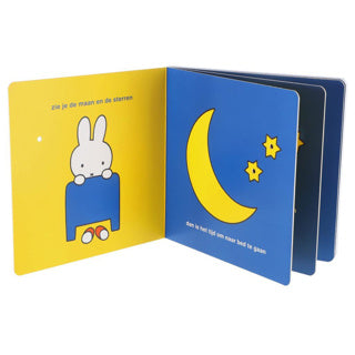 Welterusten nijntje - kinderboek