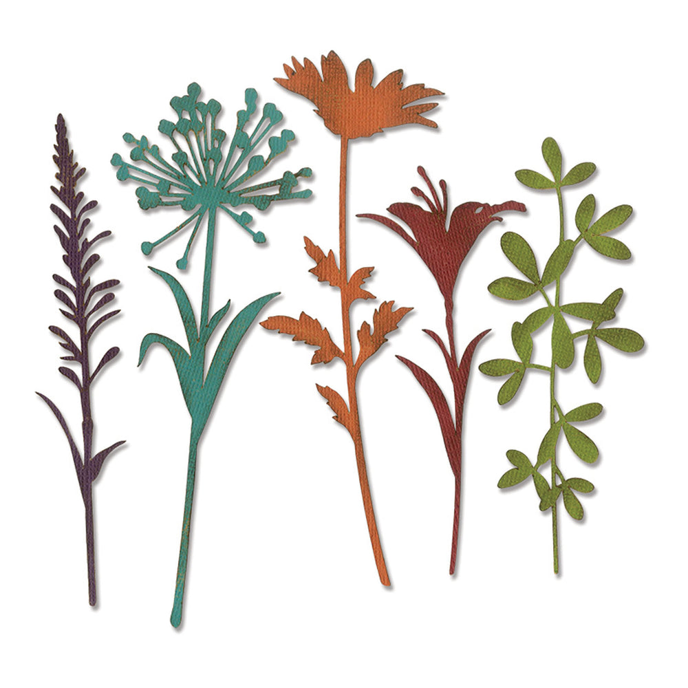 Sizzix • tim holtz thinlits die set wildflower stems #2 5pcs