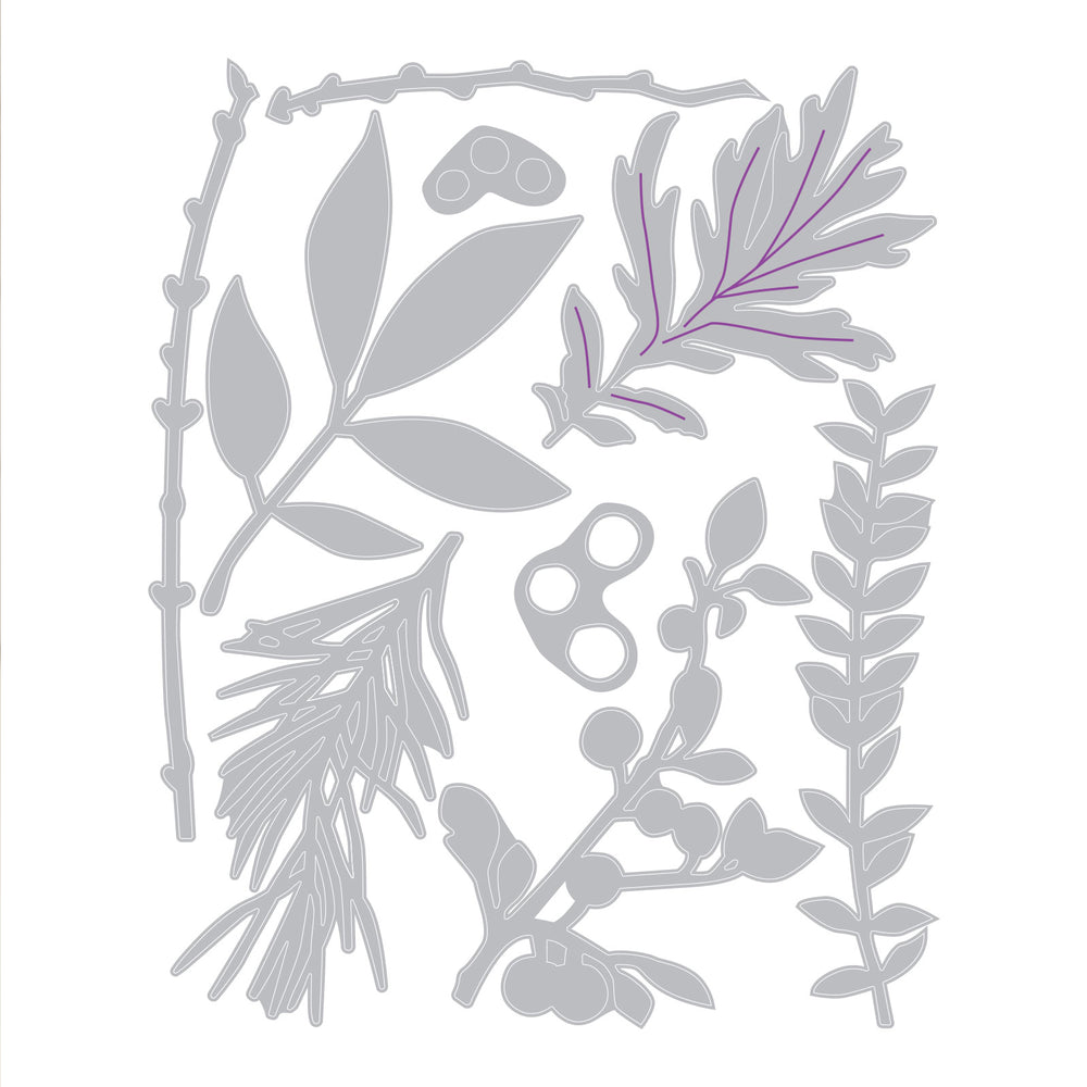 Sizzix • thinlits die set 9pk hidden leaves