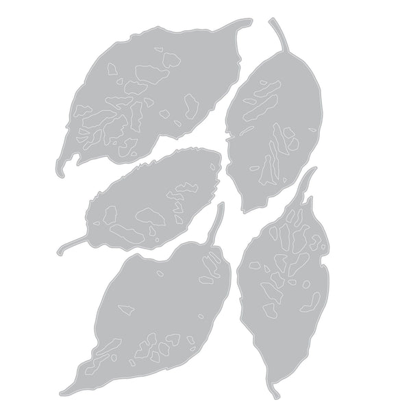 Sizzix • die set 5pcs leaf fragments by tim holtz