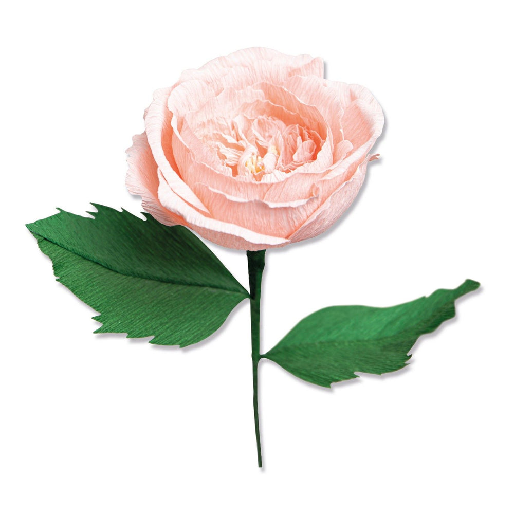 Sizzix • thinlits die set garden rose 7stuks