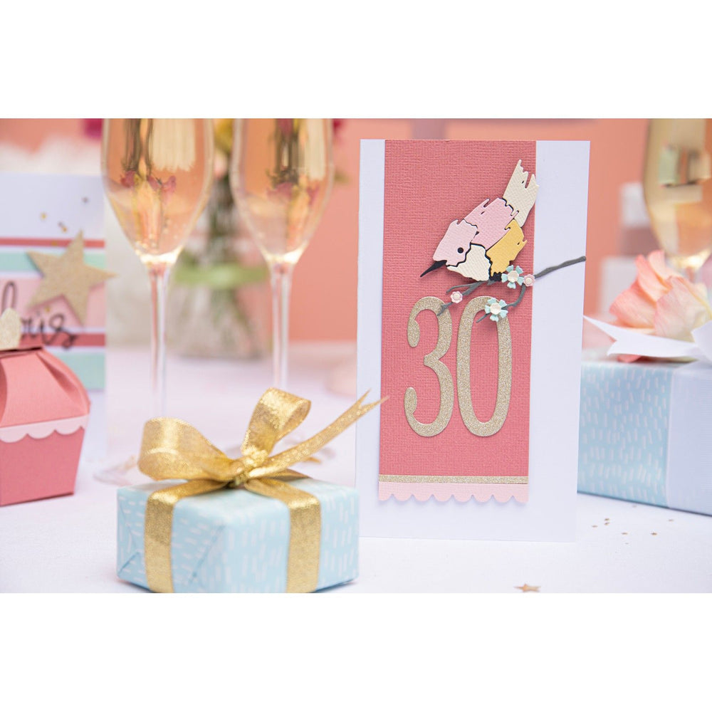 Sizzix • thinlits die set fabulous frames borders by debi potter