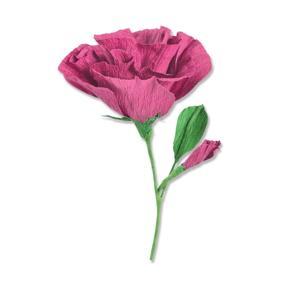 Sizzix • thinlits die set lisianthus by alexis trimble