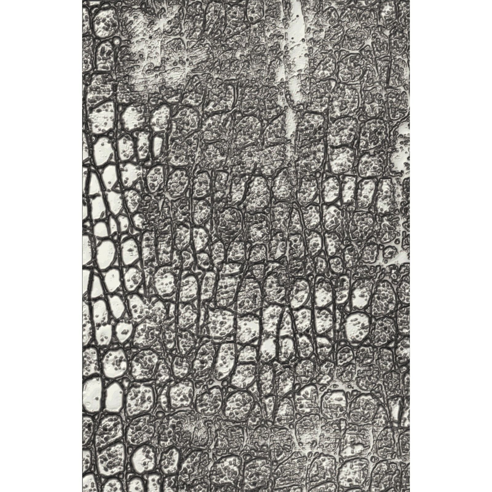 Sizzix • tim holtz 3d texture fades embossing folder reptile