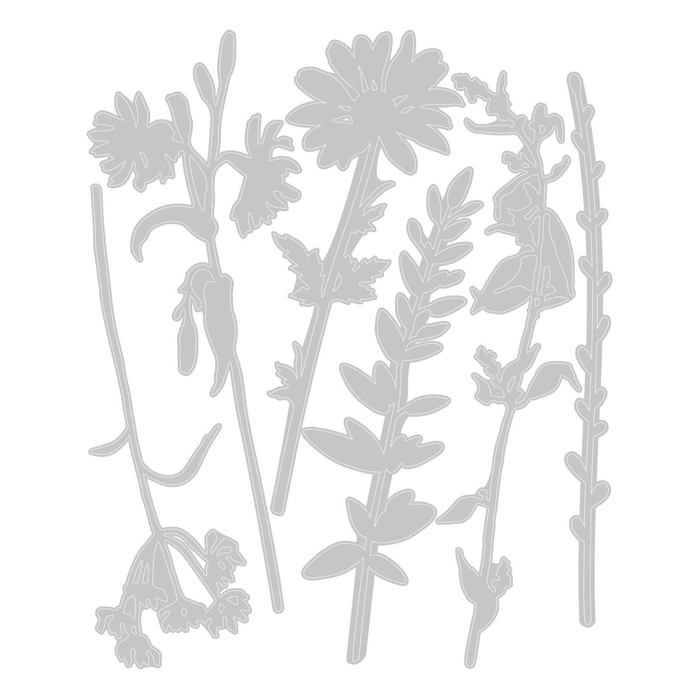 Sizzix • tim holtz thinlits die set vault wildflowers