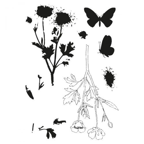 Sizzix • clear stamps set a5 with framelits die painted pencil botanical